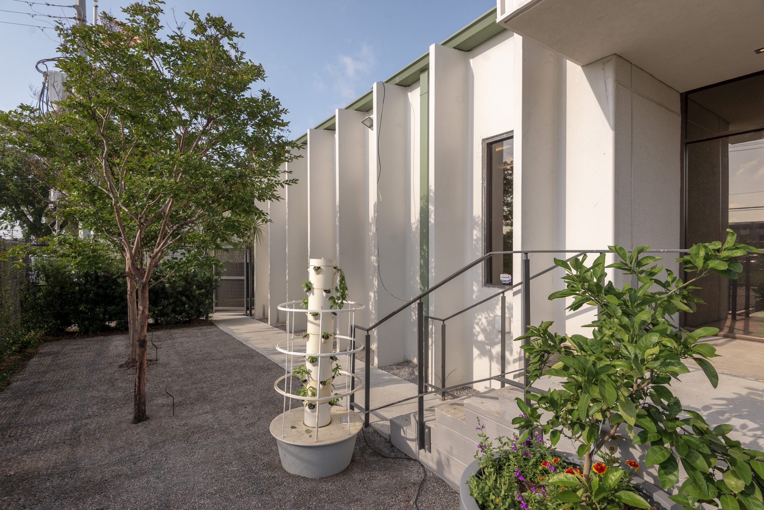 Second Harvest_MM_59