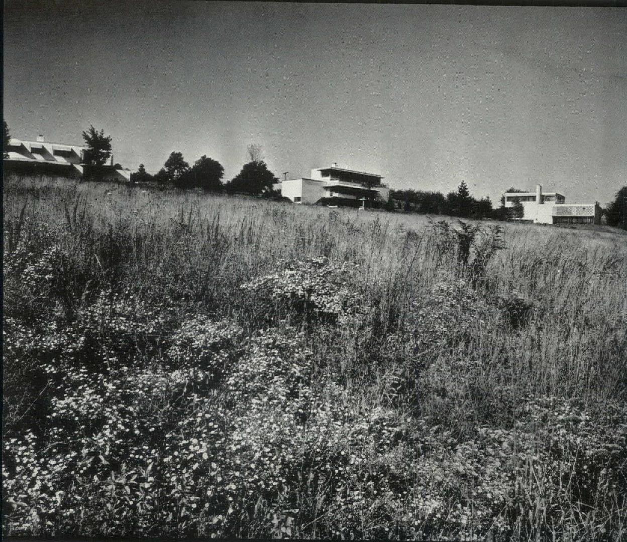 Three Houses in Miquon