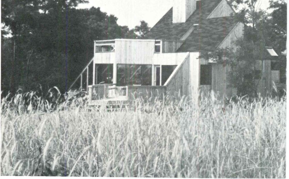 The Lynn Whitton and Diane Dailey House, Watermill NY
