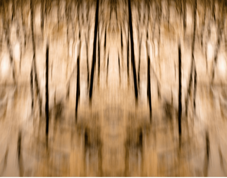 Marsh,+North+Carolina