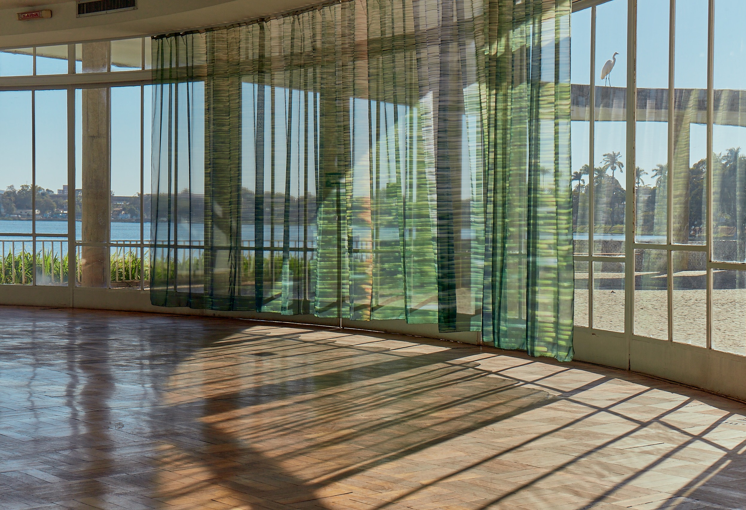 Photo by Mateus Lustosa (4)