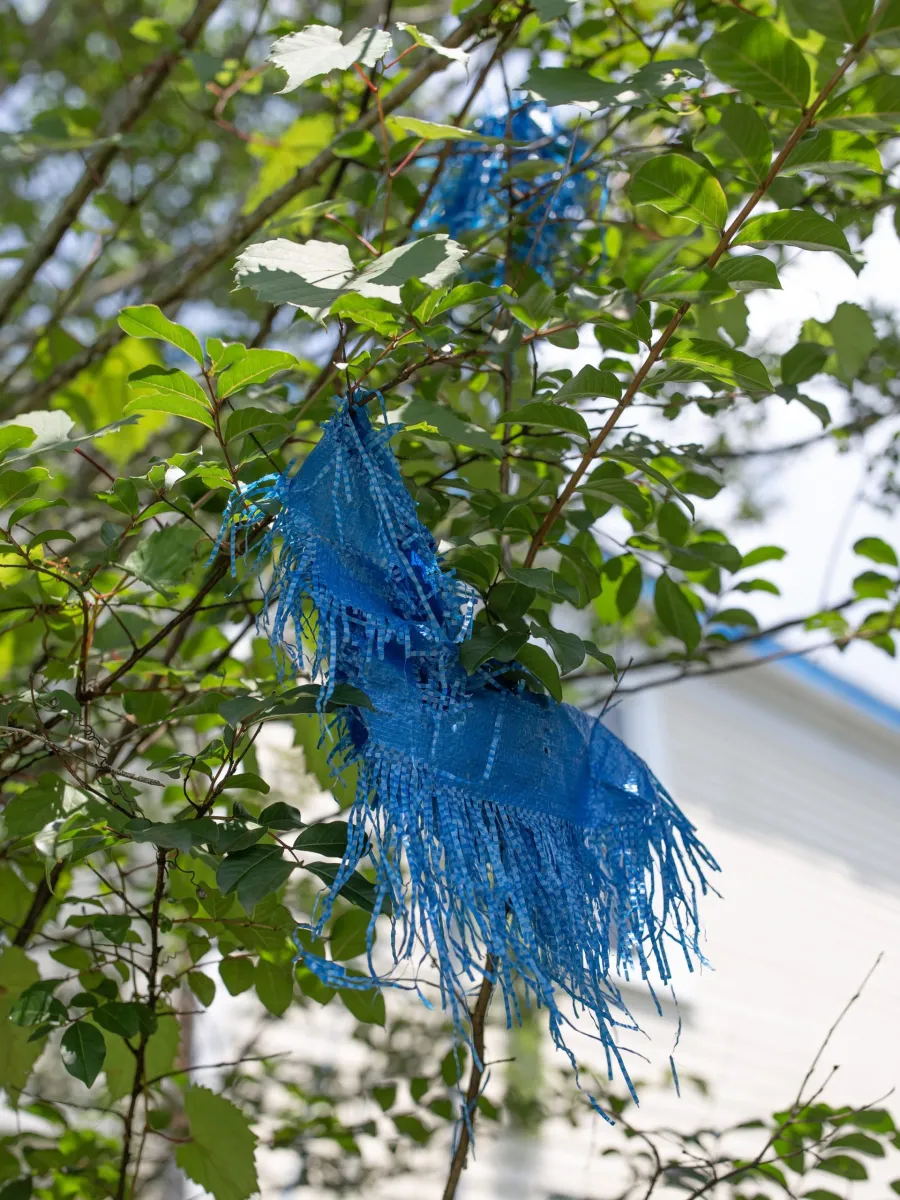 POLLOCKSVILLE_38-1-edited-scaled