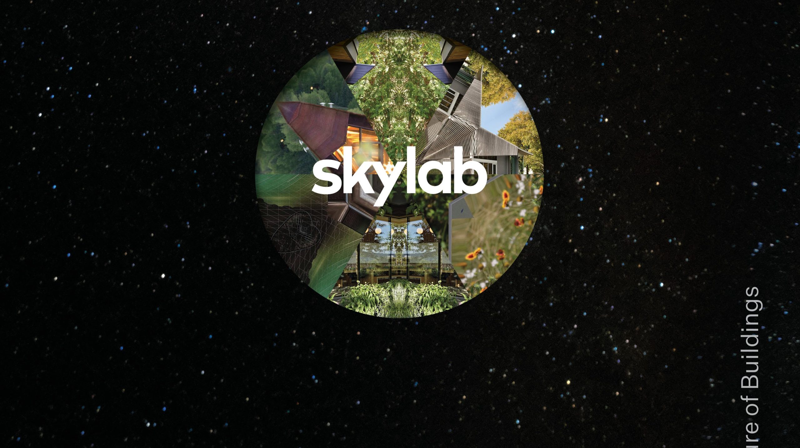 2 Skylab book_cover