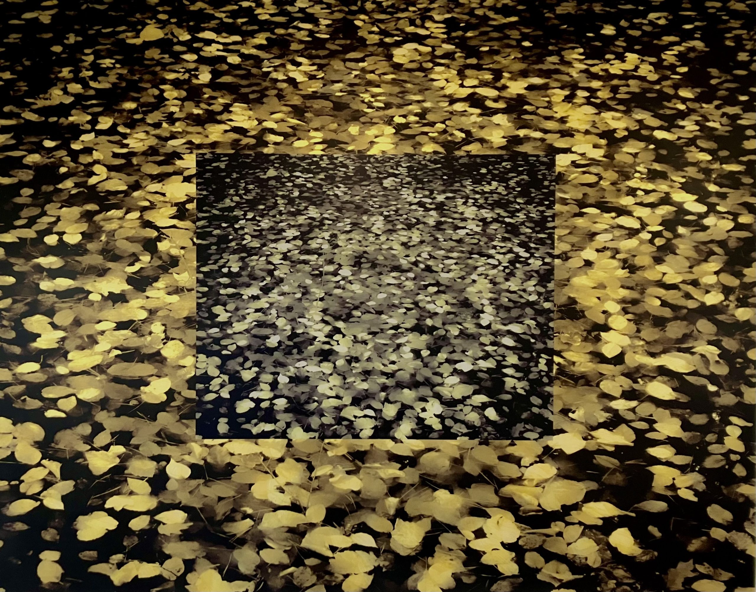 Here and Again, New England_34x42