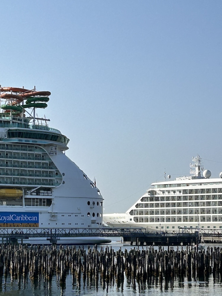 2 cruise ships