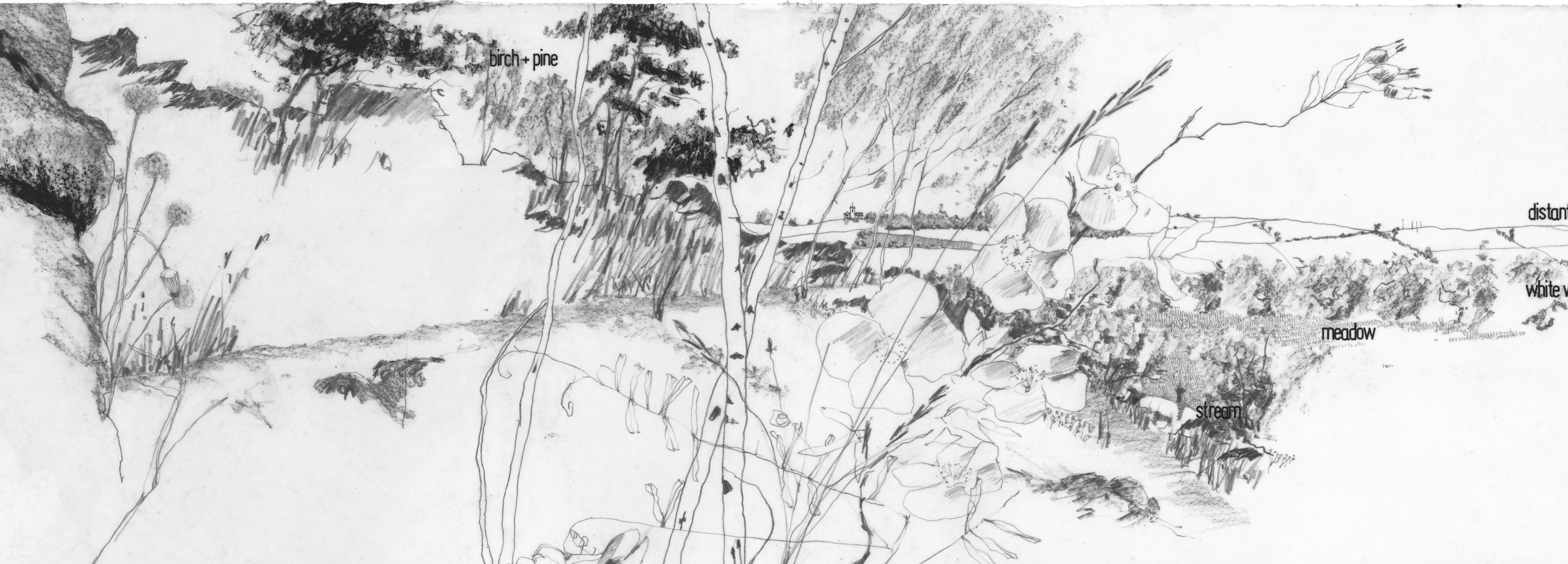 Edward Hutchison is now an author – of a book about drawing for landscape architects.