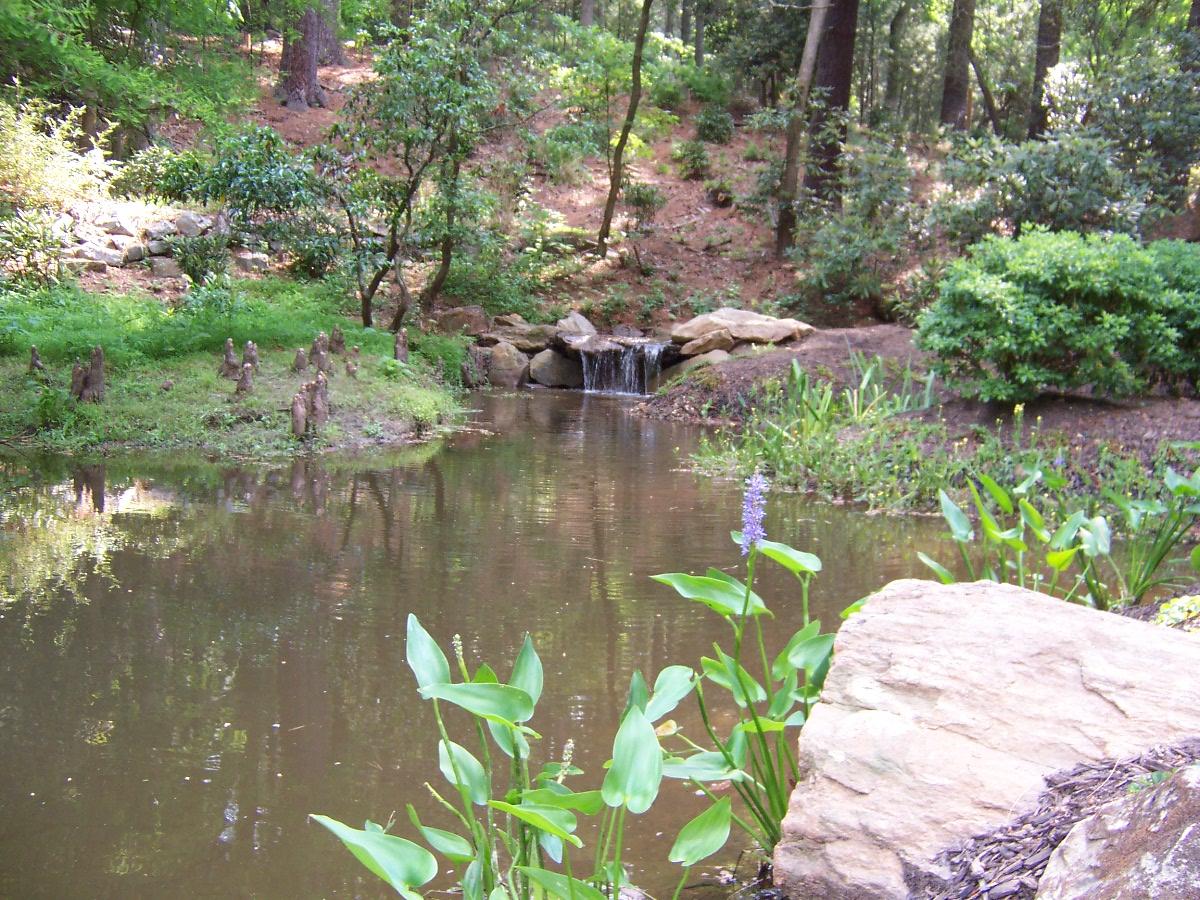 They are, respectively, director of horticulture and historic gardens manager for thousands of acres on the property.