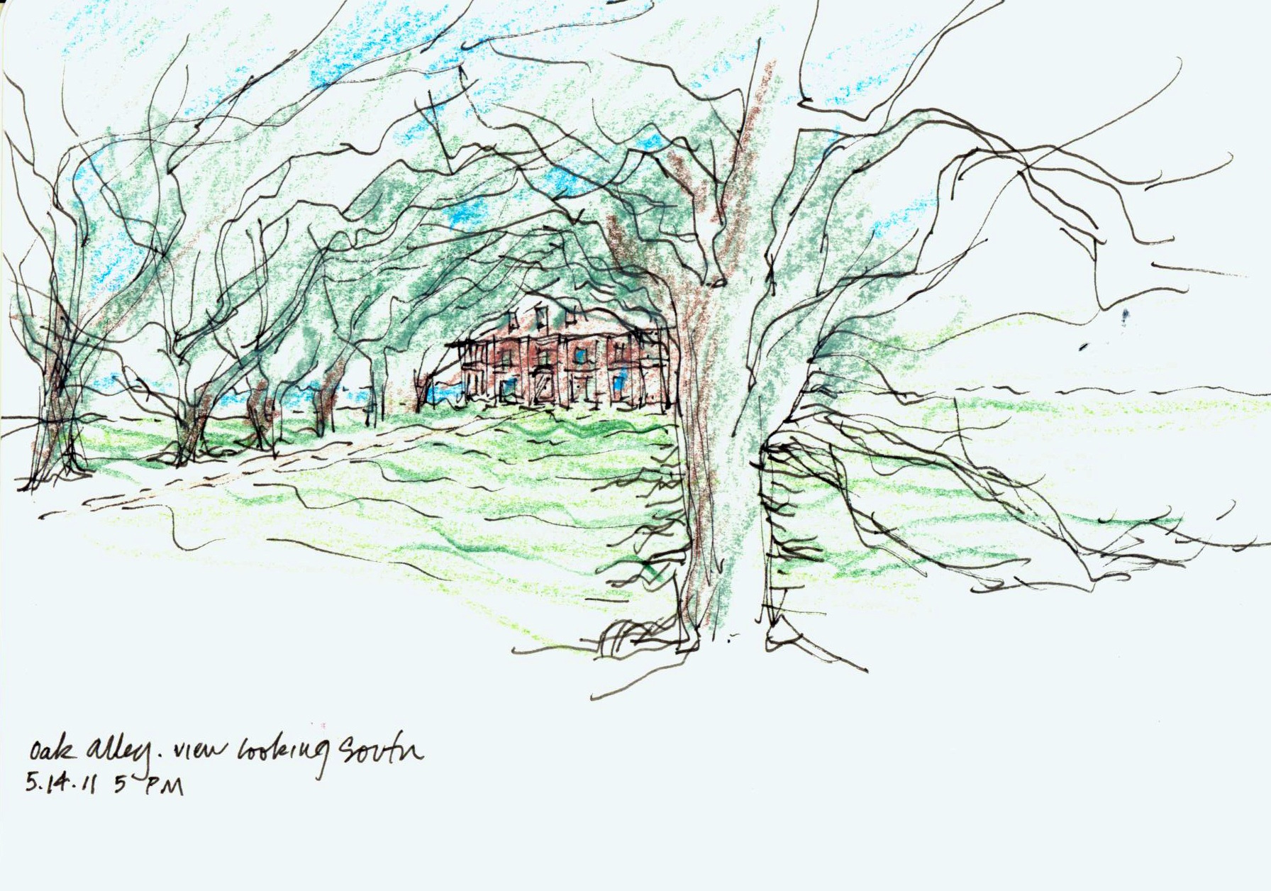 An architect friend told him that the pattern of light and shade cast by its double row of 300-year-old live oak trees was unforgettable.