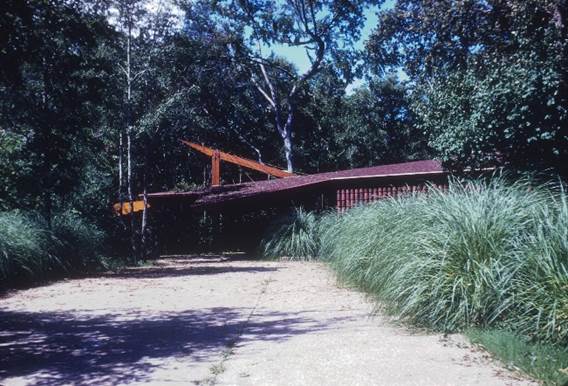 A building in the woods