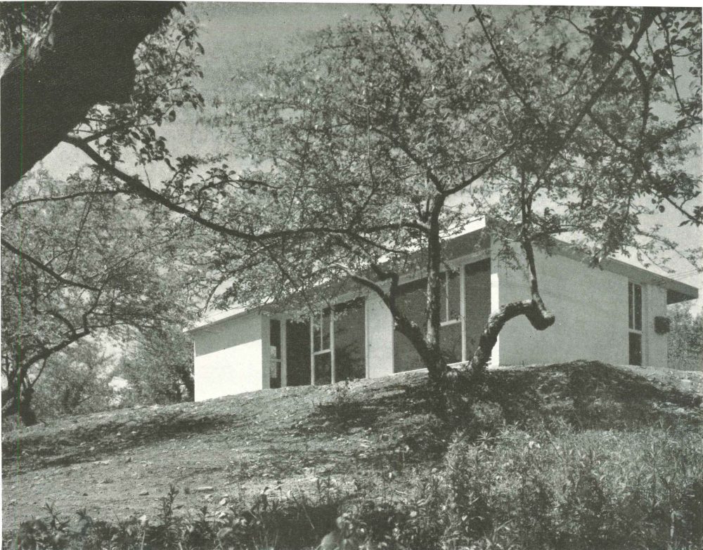 Flat-Tops in an Orchard, Branford CT