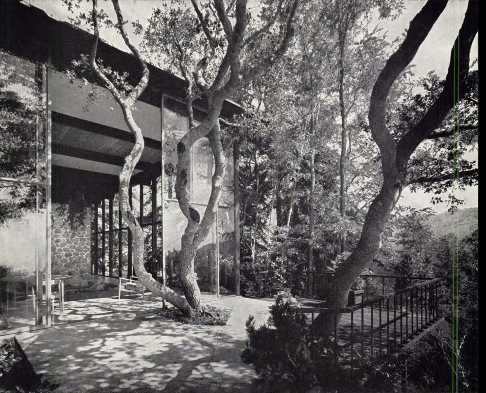 Mill Valley Bachelor's House, Mill Valley CA
