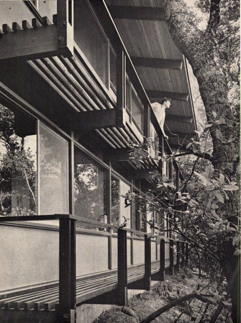 Santa Rosa Balcony House, Santa Rosa CA