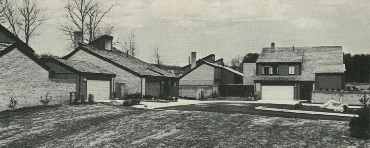 Drumaldry Zero-Lot-Line Houses, Bethesda MD by David N. Yerkes & Associates