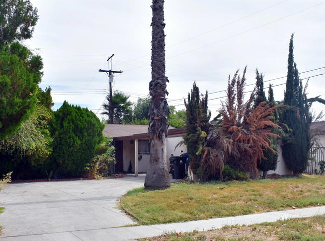 6458 Rhea Avenue, Reseda CA by Yolanda Krisel