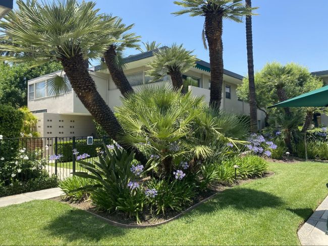 The Orange Grove Gardens Apartments, Pasadena CA by Carl Maston