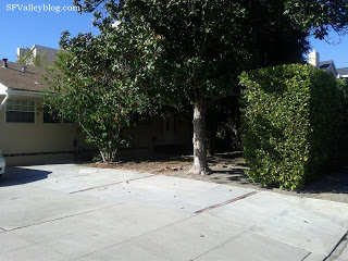 Neutra