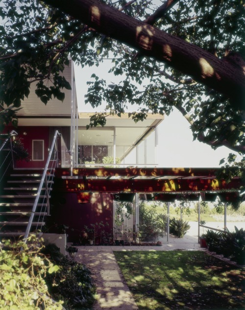 Neutra