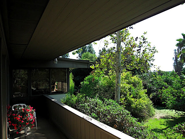 Neutra