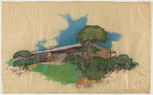 Neutra