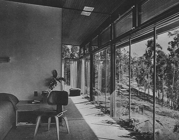 Neutra