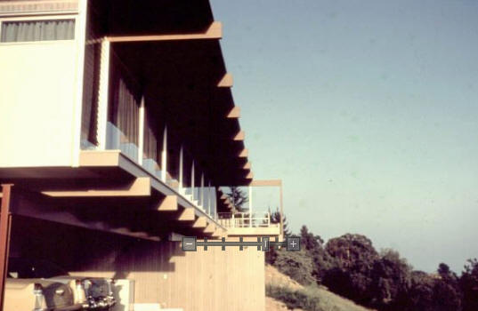 Neutra