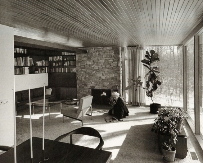 Neutra